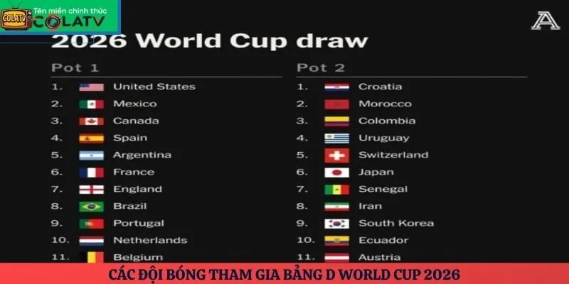 Các đội bóng tham gia bảng D World Cup 2026