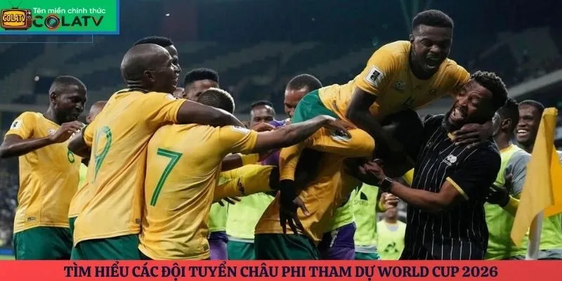 Tìm hiểu các đội tuyển châu Phi tham dự World Cup 2026