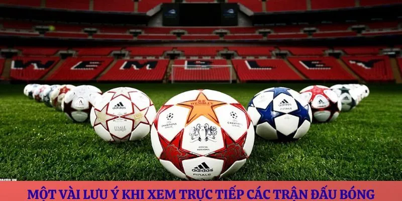 Một vài lưu ý khi xem trực tiếp các trận đấu bóng